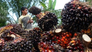 China Akan Hapus Kuota Impor Sawit, Indonesia dan Malaysia Bakal Untung